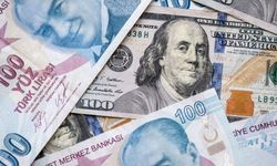 Dolar, TL karşısında tarihi zirveye ulaştı