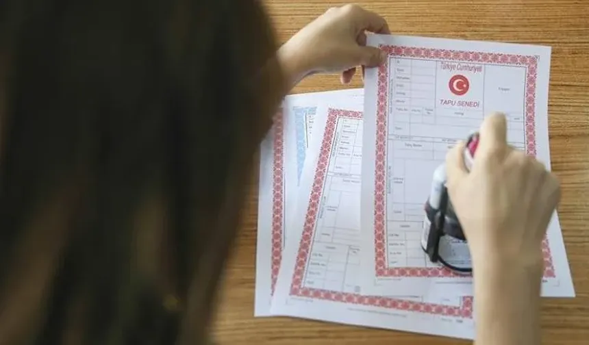 Tapuda Yeni Dönem: Orman Vasfını Yitiren Arazilere Kadastro Geliyor