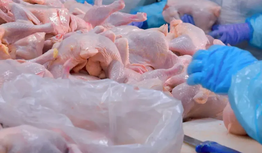 Ramazan Öncesi Tavukta İhracat Freni