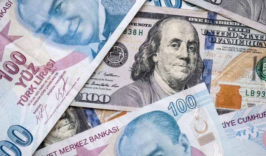 Dolar, TL karşısında tarihi zirveye ulaştı